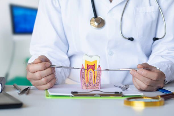 Best Walk-In Emergency Dentist in Locust, NC
